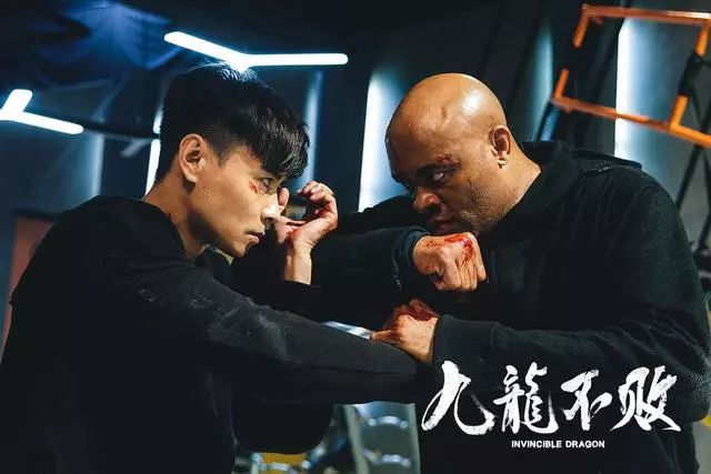 张晋新片狂兽，动作巨制的时代地位与深远影响揭秘