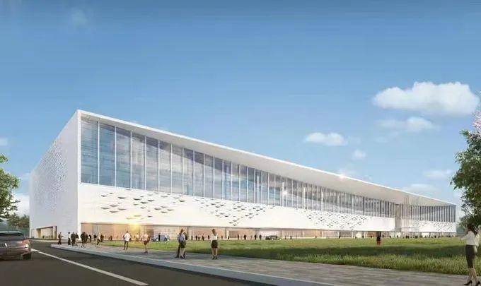 国家最新统计数据概览发布，揭示最新发展趋势与变化分析